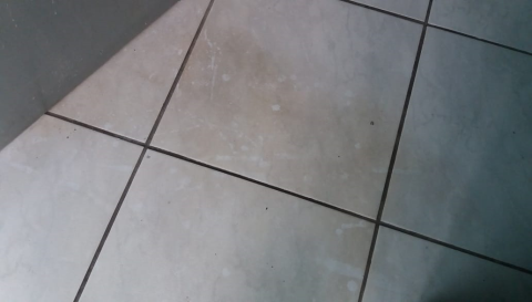 limpeza de piso (19)3292-7984
